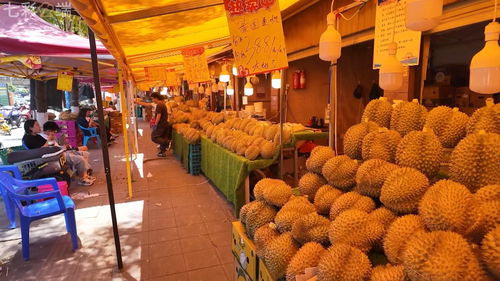 中老鐵路 客貨運(yùn)雙雙突破5000萬，合作共贏之路改變我們的生活與貨機(jī)車配件行業(yè)