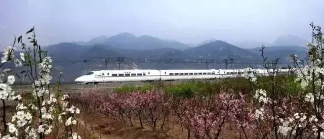 上海鐵路客運(yùn)迎來新發(fā)展 專訪郭竹學(xué)局長(zhǎng)解讀重大信息